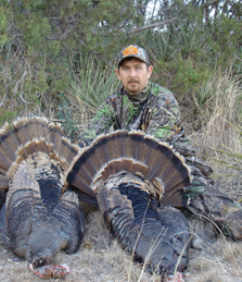 turkey hunting pictures